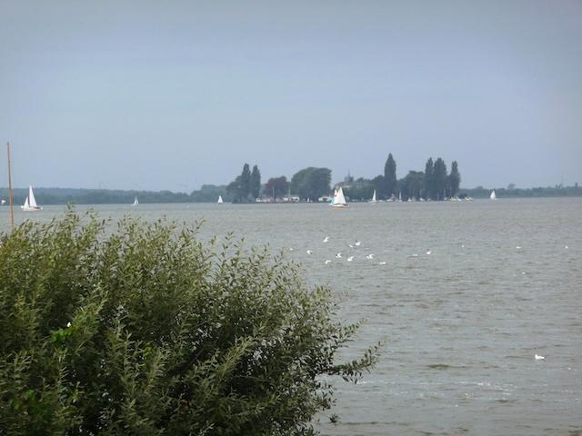 SteinhuderMeer 298