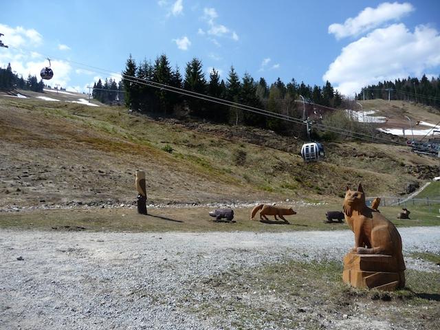 Arber - Bergbahnen