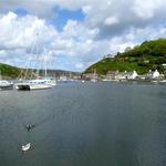 Fishguard _286