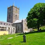 St. Davids _307