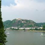 Rhein-Blick  _17