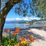 Gardasee _P1000270