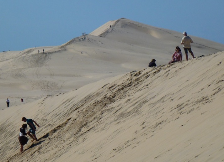 Dune de Pyla  _P1010956