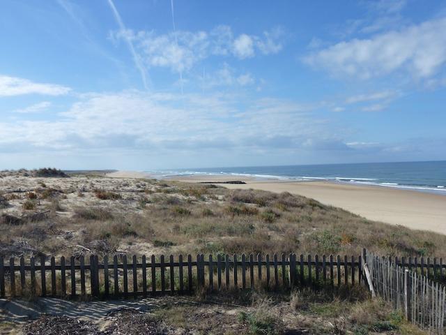 Dünen und Strand  _P1010994