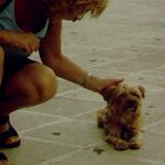 ...eine Handvoll Hund  _481101