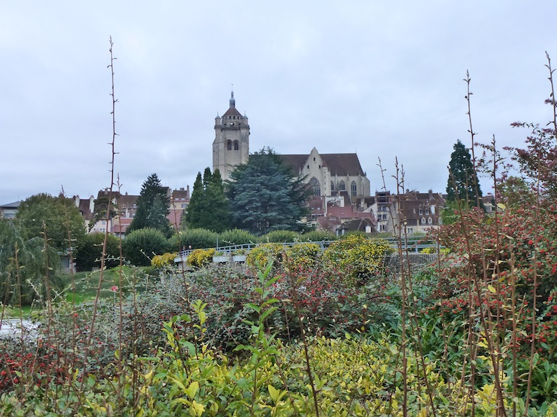 Dole   _P1020342