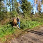 Lebt denn der alte Holzmichel...    _P1020396