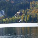 Titisee  _P1020394