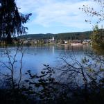 Titisee   _P1020410