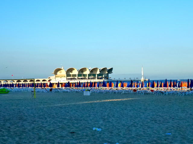 Strandmuschel im Abendlicht