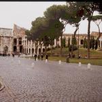 Rom - Colosseum  _451102