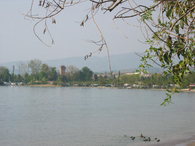 Lazise  _10