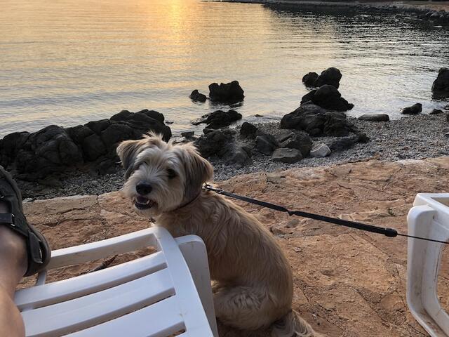 Charlotte  -  IMG_3607