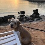 Charlotte  -  IMG_3607