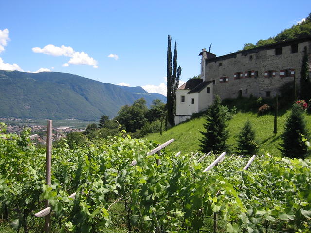 Wein und Burg...  _100-0024