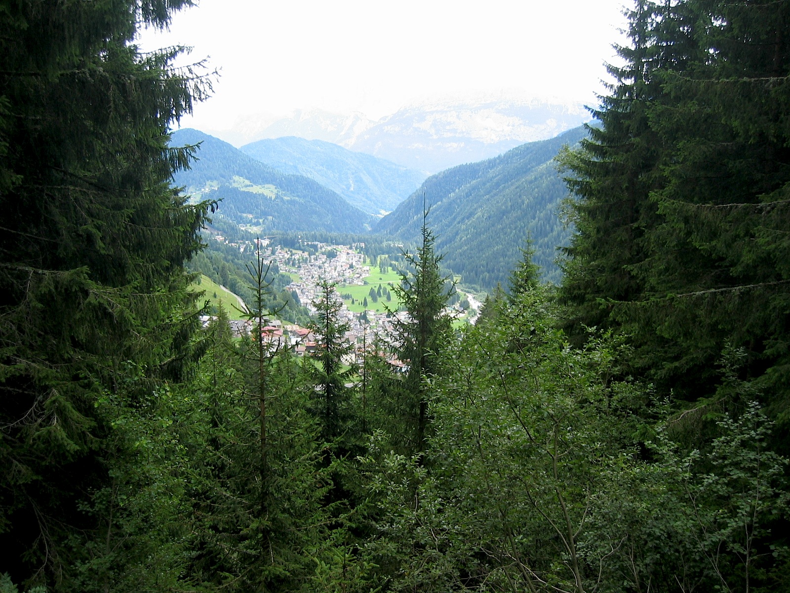 Blick ins Tal  _1235