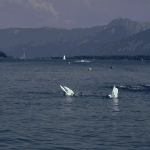 Salzkammergut 06/2000