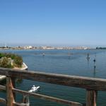 Chioggia 488