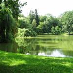 Rosenau-Park _1374