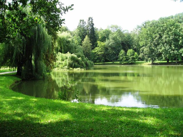 Rosenau-Park _1374