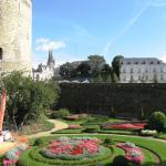 Angers _237