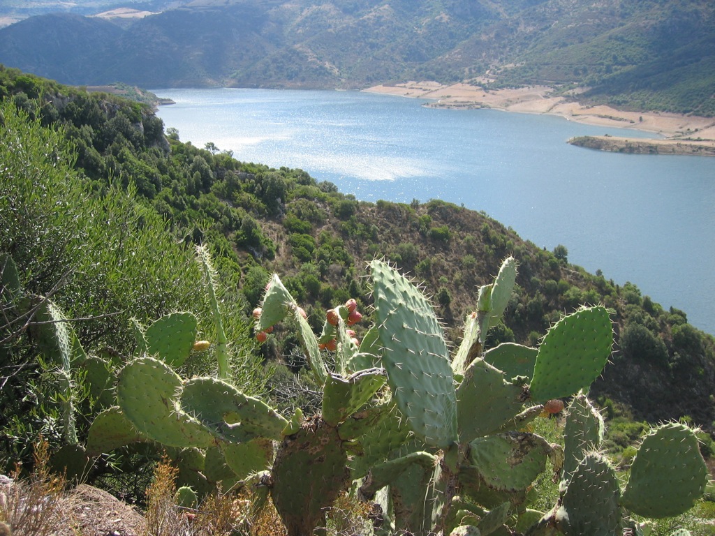 Süßwasser-Reservoir _102_0247