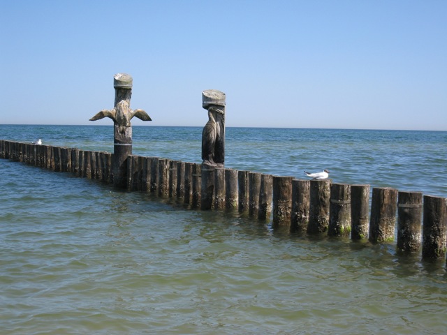 Zingst 256