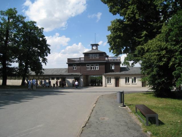 Buchenwald _1556