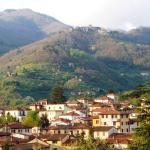 Barga _115