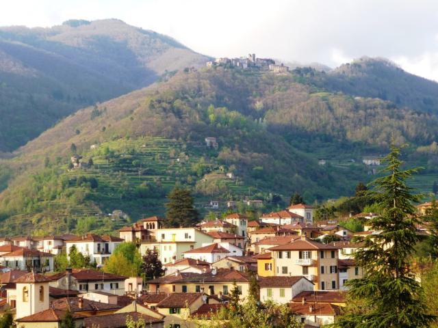 Barga _115