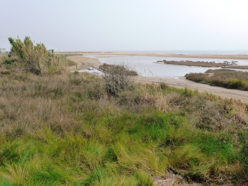 Am Delta des Tagliamento