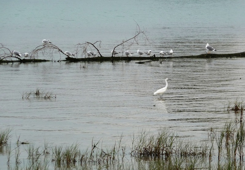 ...am Tagliamento