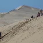 Dune de Pyla  _P1010956