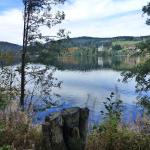 Titisee  _P1020387