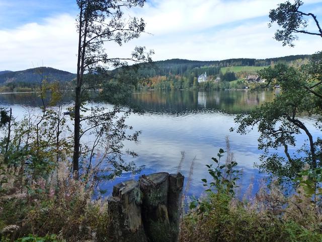 Titisee  _P1020387
