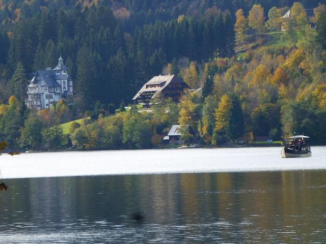 Titisee  _P1020394