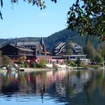 Titisee. _P1020403