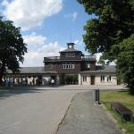 Buchenwald _1556