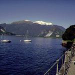 Lago Maggiore   _24297